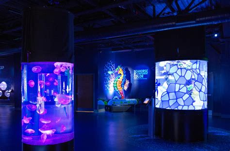 Greensboro science center - Looking for a Holiday light show? At the Greensboro Science Center in Greensboro, North Carolina they have one going on through early January. Check the link...